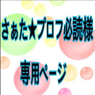 さぁた様 専用(その他)