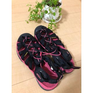 キーン(KEEN)のKEEN★ピンク ニューポート(スニーカー)