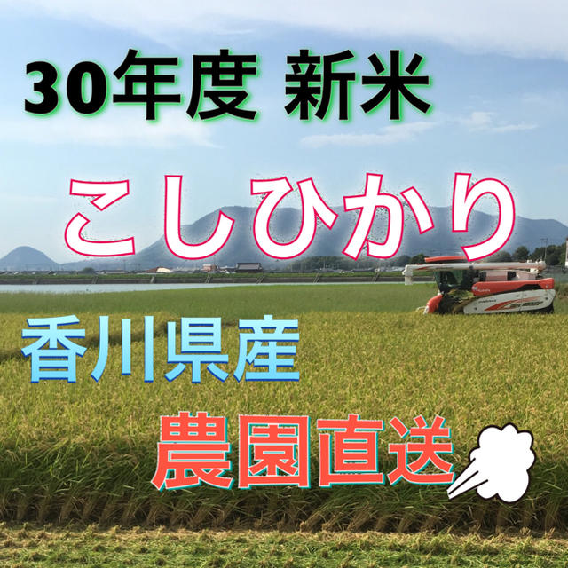 新米！こしひかり(^^)香川県産米/穀物