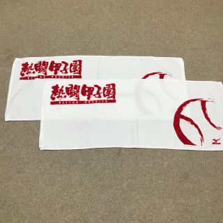 ミズノ(MIZUNO)のカメラマン様専用 熱闘甲子園  タオル(応援グッズ)