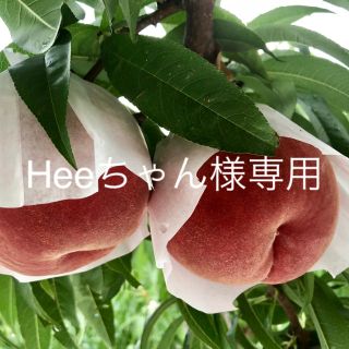 Heeちゃん様専用 川中島白桃 桃 2キロ(フルーツ)