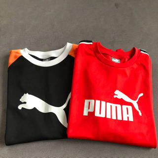 プーマ(PUMA)のPUMA  長袖シャツ2枚セット(その他)