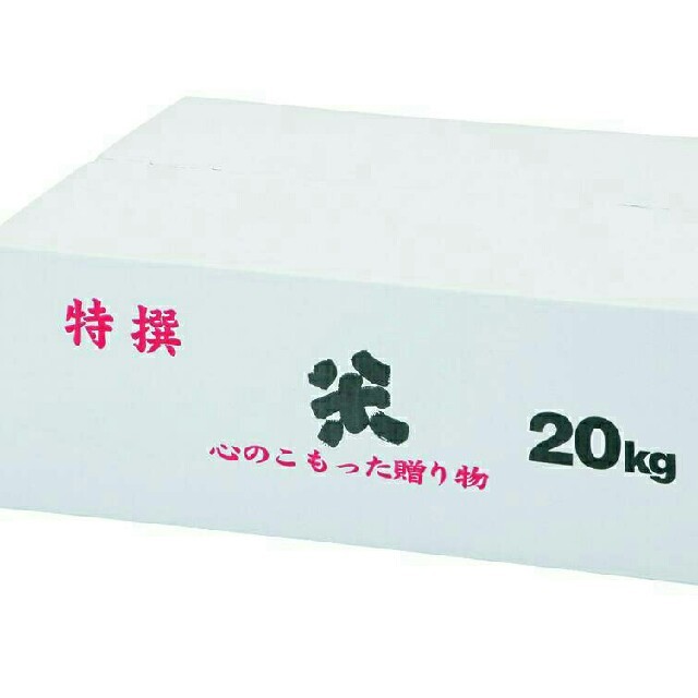 8月23日発送29年度滋賀のコシヒカリ玄米20kg 10kg✖2袋お米送込 - 米/穀物