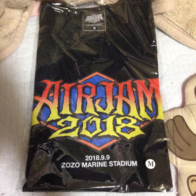 HIGH!STANDARD(ハイスタンダード)の今月削除 AIR JAM 2018 事前通販限定 オフィシャル T ブラック M エンタメ/ホビーのタレントグッズ(ミュージシャン)の商品写真