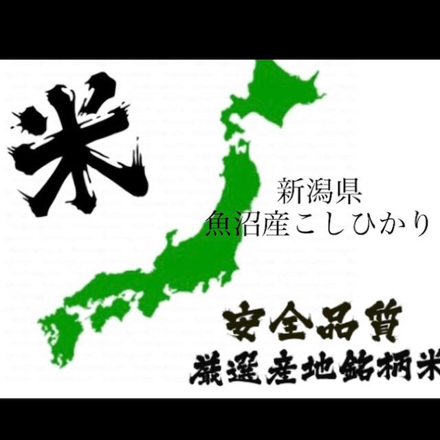 お得！！魚沼産こしひかり 玄米30㌔ 米 お米食品/飲料/酒