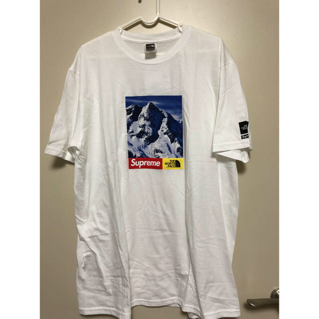 SUPREME MOUNTAIN TEETシャツ/カットソー(半袖/袖なし)