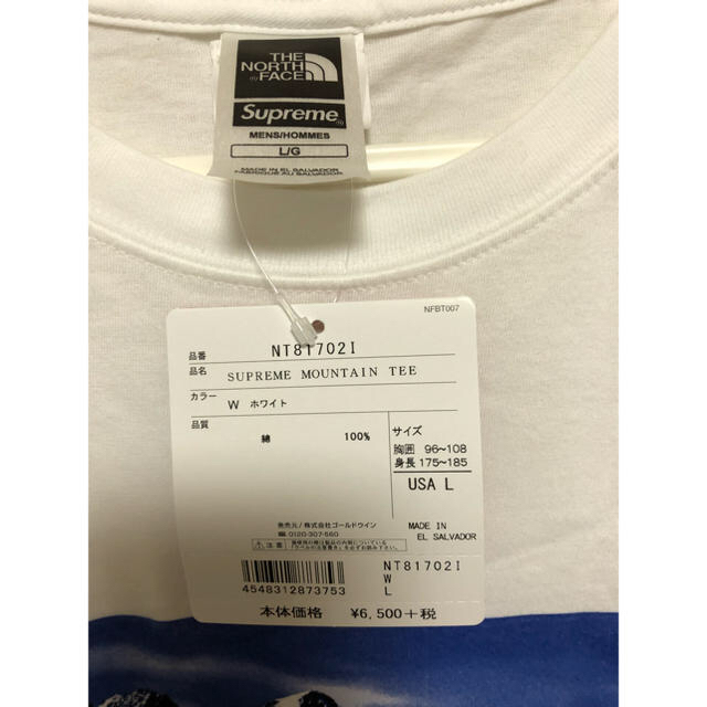 Supreme(シュプリーム)のSUPREME MOUNTAIN TEE メンズのトップス(Tシャツ/カットソー(半袖/袖なし))の商品写真