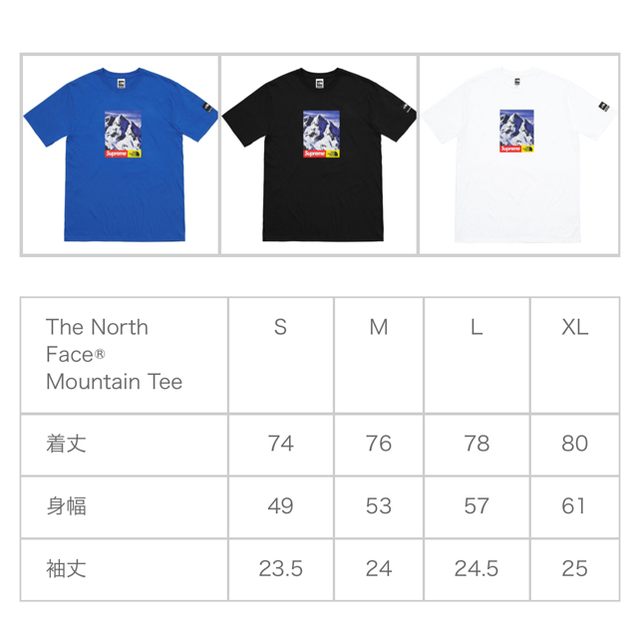 Supreme(シュプリーム)のSUPREME MOUNTAIN TEE メンズのトップス(Tシャツ/カットソー(半袖/袖なし))の商品写真