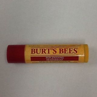 バーツビーズ(BURT'S BEES)のリップバーム(その他)