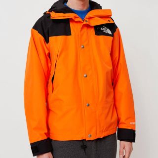 ザノースフェイス(THE NORTH FACE)のL North Face 1990 Mountain Jacket GTX (マウンテンパーカー)