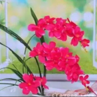 胡蝶蘭 造花 フェイクフラワー 盆栽 レッド(花瓶)