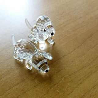SWAROVSKI - tera様専用スワロフスキー 犬 置物 SWAROVSKYの SWAROVSKI - tera様専用スワロフスキー 犬 置物 SWAROVSKYの