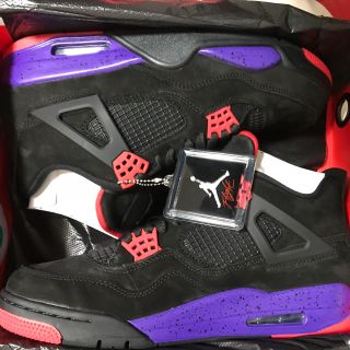 ナイキ(NIKE)のAir Jordan 4 NRG Raptors ジョーダン(スニーカー)