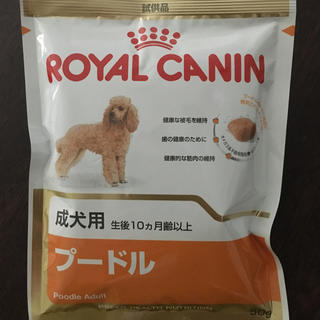 ロイヤルカナン(ROYAL CANIN)のロイヤルカナン プードル 成犬用(犬)