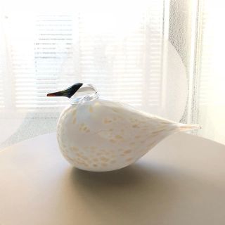 イッタラ(iittala)の*MKM'sさま専用* iittala Snow Dove BOXあり バード(置物)