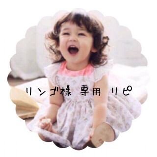 リンゴ様 専用 リピ(その他)