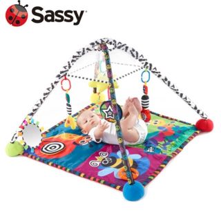 サッシー(Sassy)のSassy プレイジム(ベビージム)