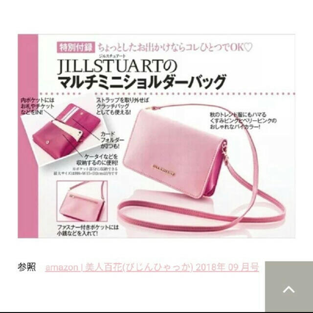 JILLSTUART(ジルスチュアート)のJILLSTUART 付録 レディースのバッグ(ハンドバッグ)の商品写真