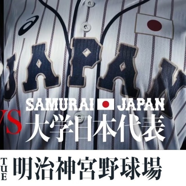 高校野球日本代表 壮行試合 チケットのスポーツ(野球)の商品写真