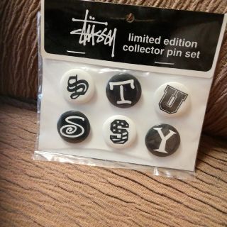 ステューシー(STUSSY)のSTUSSY 　ピン　セット(collector pin set)(その他)