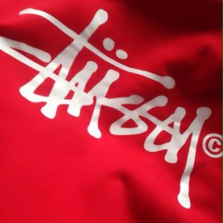 ステューシー(STUSSY)のstussy ビッグロゴパーカー(パーカー)