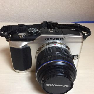 オリンパス(OLYMPUS)のミラーレス オリンパス E-PL2 ジャンク(ミラーレス一眼)