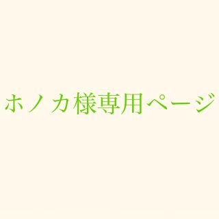 トリプルエー(AAA)のホノカ様専用ページ(その他)