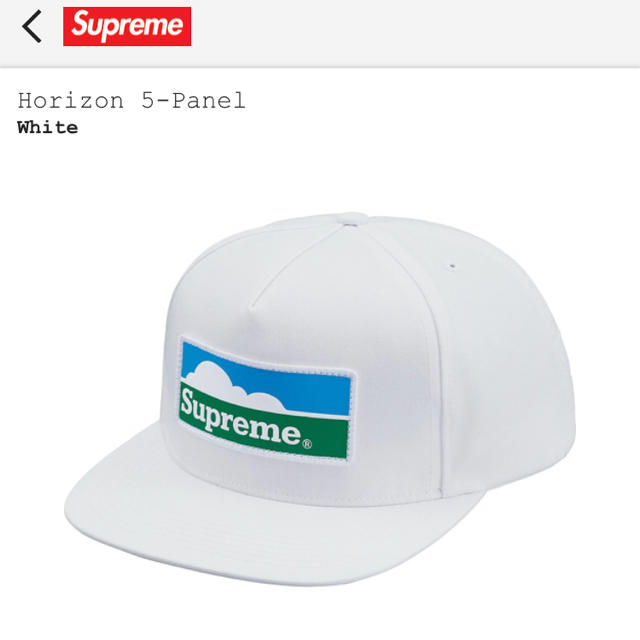 Supreme Horizon 5-Panel  cap white