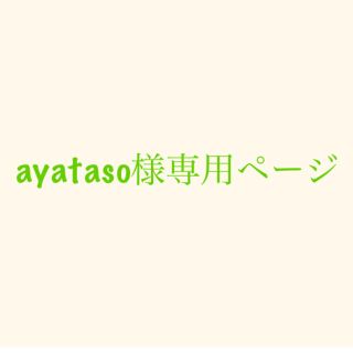 トリプルエー(AAA)のayataso様専用ページ(その他)