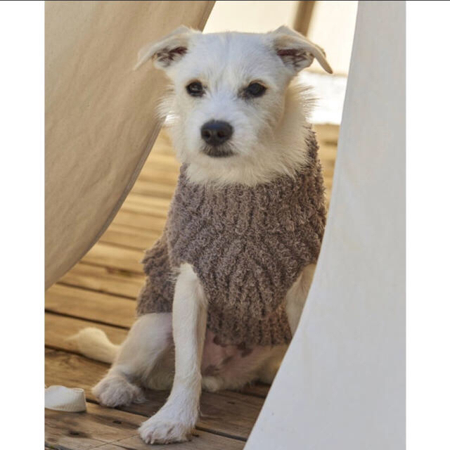 BAREFOOT DREAMS - ベアフットドリームズ 犬用セーターの通販 by daiwa｜ベアフットドリームスならラクマ