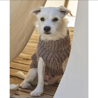 ベアフットドリームス(BAREFOOT DREAMS)のベアフットドリームズ 犬用セーター(ペット服/アクセサリー)