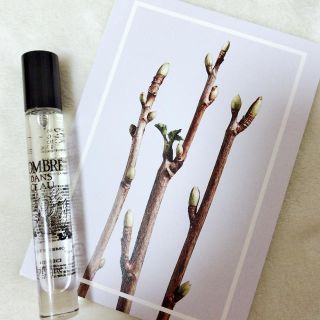 ディプティック(diptyque)のdiptyque ロンブルダンロー 7.5ml(香水(女性用))