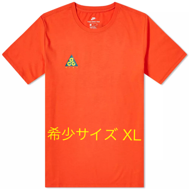 即発 NIKE ACG Tee Tシャツ 希少サイズ XL