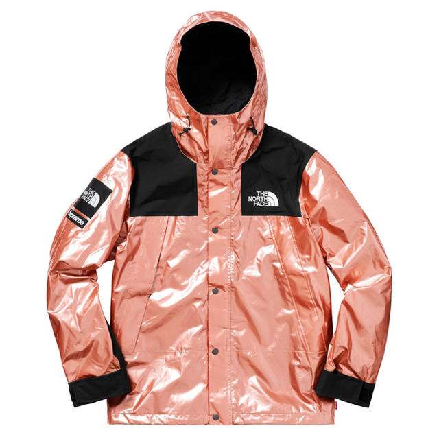 Supreme × THE NORTH FACE 18SS