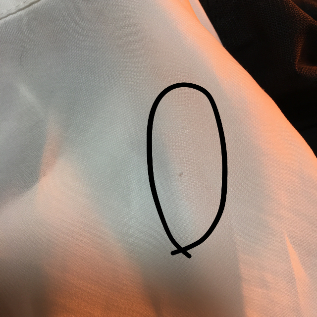 archives(アルシーヴ)の刺繍ブラウス レディースのトップス(シャツ/ブラウス(長袖/七分))の商品写真
