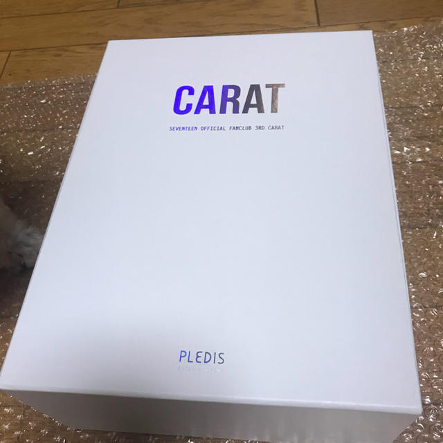 seventeen 韓国 CARAT ３期 入会グッズセット