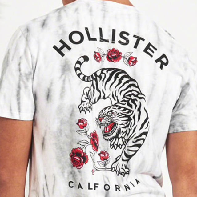 Hollister(ホリスター)の新品 HOLLISTER ホリスターTシャツ メンズのトップス(Tシャツ/カットソー(半袖/袖なし))の商品写真