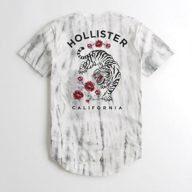 Hollister(ホリスター)の新品 HOLLISTER ホリスターTシャツ メンズのトップス(Tシャツ/カットソー(半袖/袖なし))の商品写真