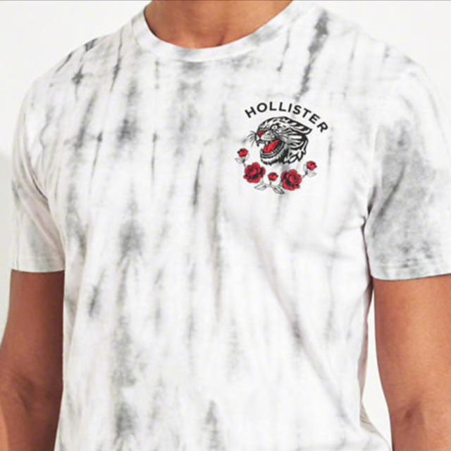 Hollister(ホリスター)の新品 HOLLISTER ホリスターTシャツ メンズのトップス(Tシャツ/カットソー(半袖/袖なし))の商品写真