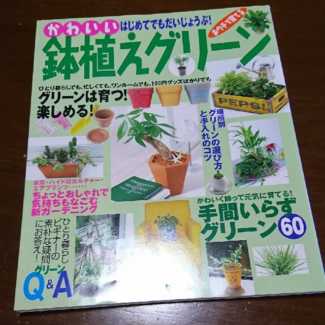 鉢植えグリーン ハンドメイドのフラワー/ガーデン(プランター)の商品写真