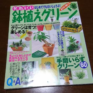 鉢植えグリーン(プランター)