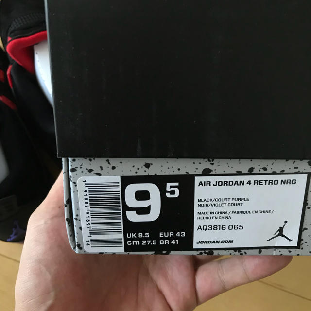 NIKE(ナイキ)のAir Jordan 4 NRG Raptors 国内未発売モデル メンズの靴/シューズ(スニーカー)の商品写真