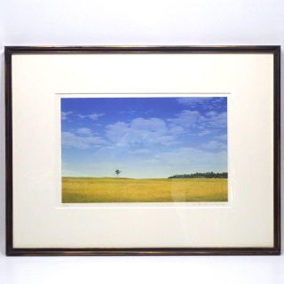 C564 中古 額縁 木製 ガラス 油彩画 水彩画 (絵画額縁)