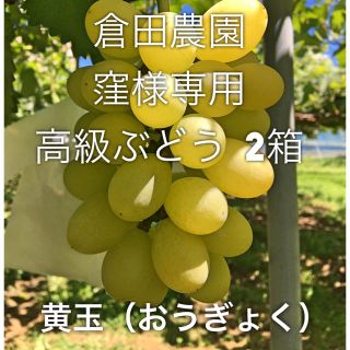 倉田農園 窪様専用 高級ぶどう 2箱(フルーツ)