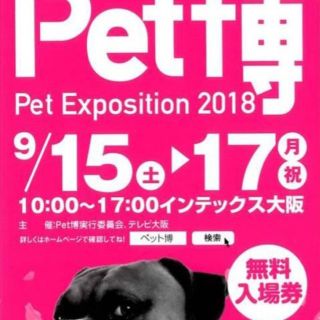 ペット博 2018 インテックス大阪
2018 pet博(その他)