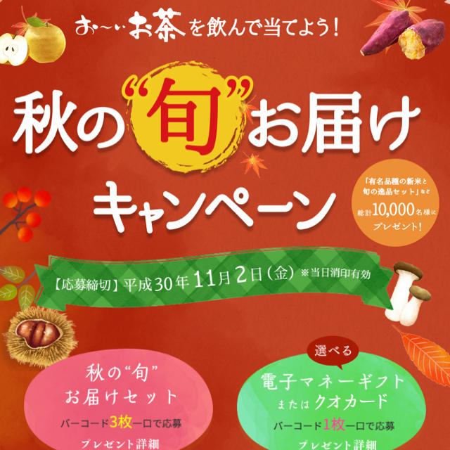 伊藤園(イトウエン)の懸賞おーいお茶キャンペーンバーコード30枚 食品/飲料/酒の飲料(茶)の商品写真