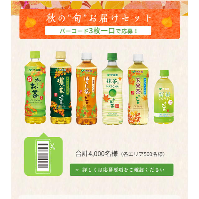 伊藤園(イトウエン)の懸賞おーいお茶キャンペーンバーコード30枚 食品/飲料/酒の飲料(茶)の商品写真