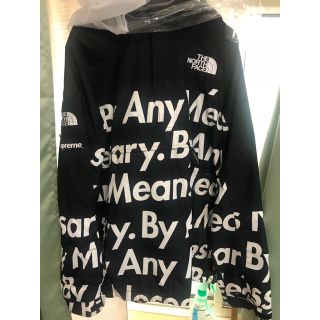 シュプリーム(Supreme)のSupreme the north face XL(マウンテンパーカー)