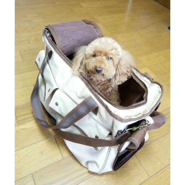 小型犬用ソフトキャリーバッグ(FCBX-500 ベージュ)【お散歩大好き様専用】 | フリマアプリ ラクマ