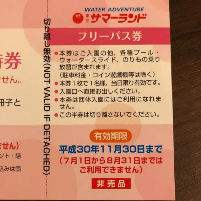 東京サマーランド フリーパス ８名様分 チケットの施設利用券(遊園地/テーマパーク)の商品写真